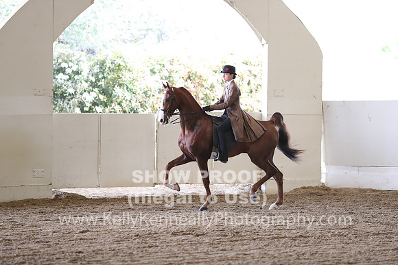 CA_Springfest19_FriAM_9245