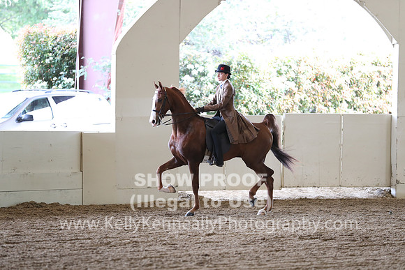 CA_Springfest19_FriAM_9246