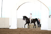 CA_Springfest19_FriAM_9218