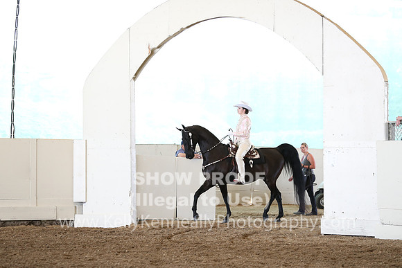 CA_Springfest19_FriAM_9218