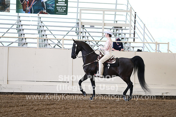 CA_Springfest19_FriAM_9220