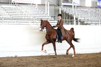 CA_Springfest19_FriAM_9256