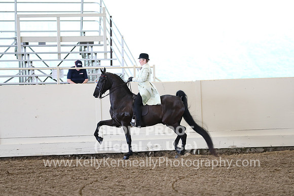 CA_Springfest19_FriAM_9270
