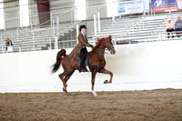CA_Springfest19_FriAM_9257