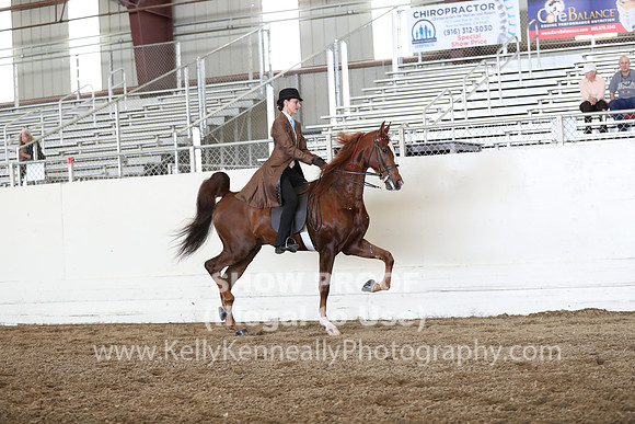CA_Springfest19_FriAM_9257