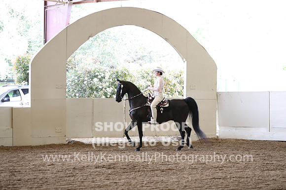 CA_Springfest19_FriAM_9223