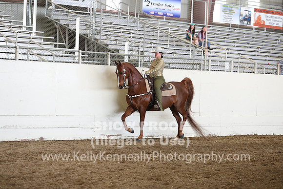 CA_Springfest19_FriAM_9225