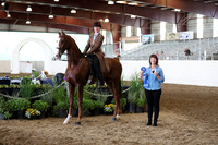 CA_Springfest19_FriAM_9258