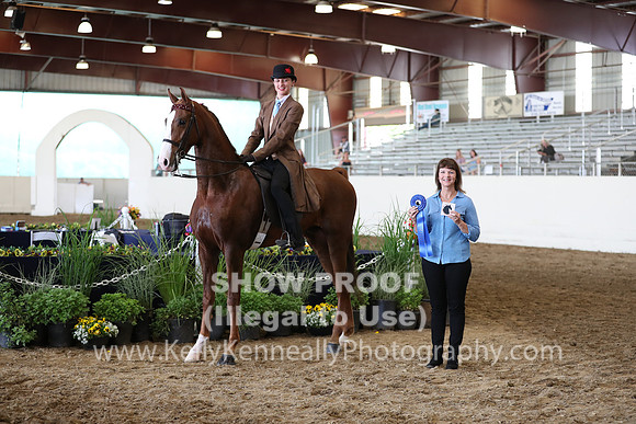 CA_Springfest19_FriAM_9258