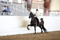 CA_Springfest19_FriAM_9285