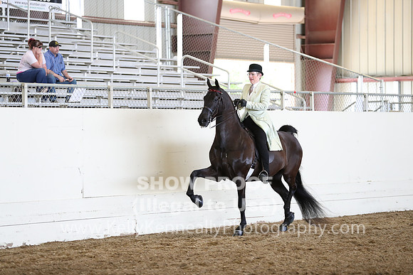 CA_Springfest19_FriAM_9285