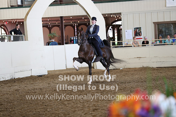 CA_Springfest19_FriAM_9360