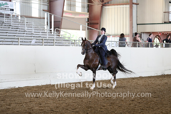 CA_Springfest19_FriAM_9361