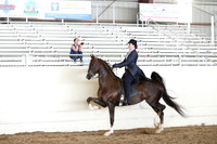 CA_Springfest19_FriAM_9363