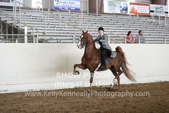 CA_Springfest19_FriAM_9365