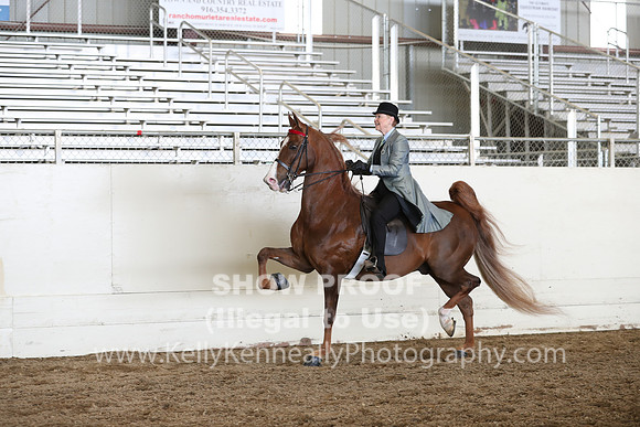 CA_Springfest19_FriAM_9366