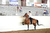 CA_Springfest19_FriAM_9290
