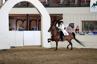 CA_Springfest19_FriAM_9294