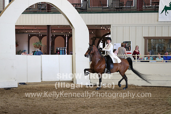 CA_Springfest19_FriAM_9294