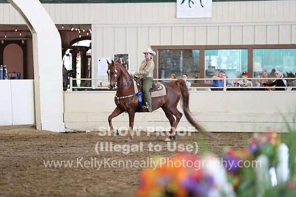 CA_Springfest19_FriAM_9231