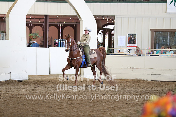 CA_Springfest19_FriAM_9232
