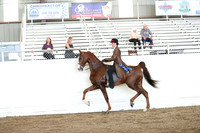 CA_Springfest19_FriAM_9267