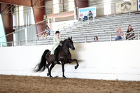 CA_Springfest19_FriAM_9305