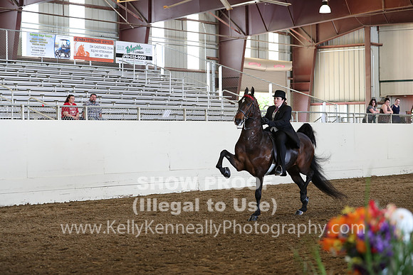 CA_Springfest19_FriAM_9368