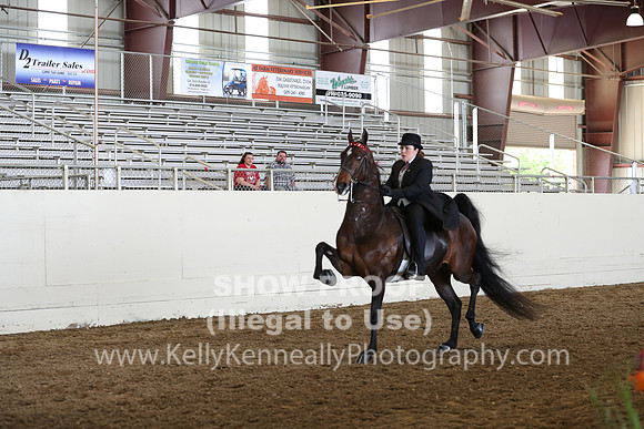 CA_Springfest19_FriAM_9369