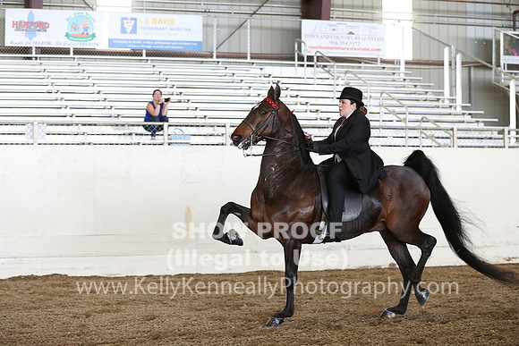 CA_Springfest19_FriAM_9371