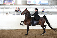 CA_Springfest19_FriAM_9372