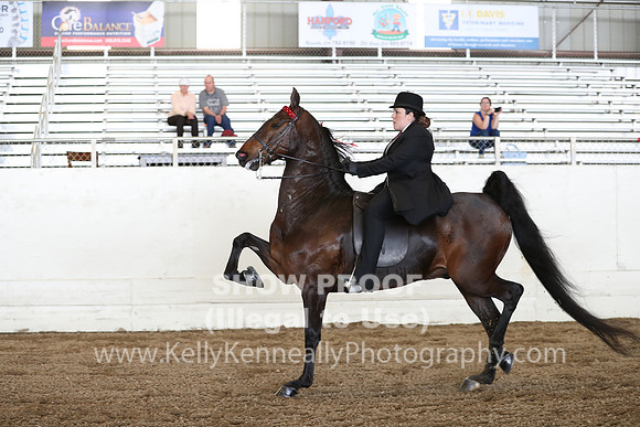CA_Springfest19_FriAM_9372