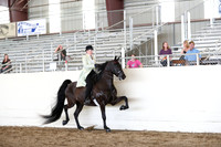CA_Springfest19_FriAM_9307