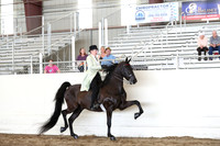 CA_Springfest19_FriAM_9308