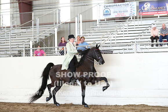 CA_Springfest19_FriAM_9308