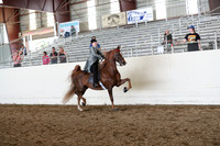 CA_Springfest19_FriAM_9376