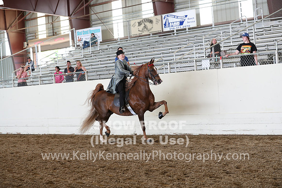 CA_Springfest19_FriAM_9376