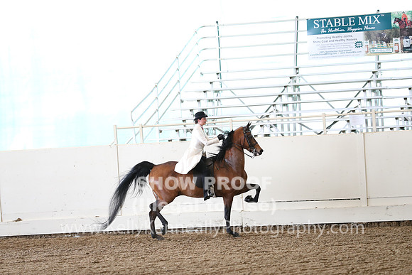 CA_Springfest19_FriAM_9310