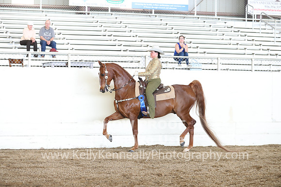 CA_Springfest19_FriAM_9238