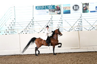 CA_Springfest19_FriAM_9311