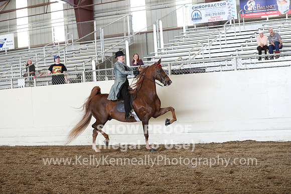 CA_Springfest19_FriAM_9378