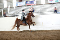 CA_Springfest19_FriAM_9379