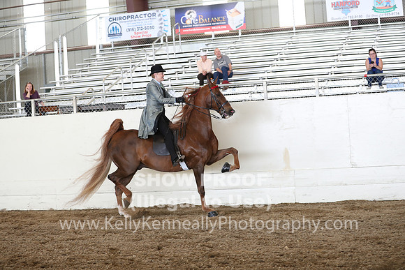 CA_Springfest19_FriAM_9379