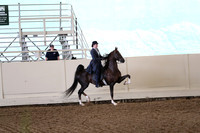 CA_Springfest19_FriAM_9381