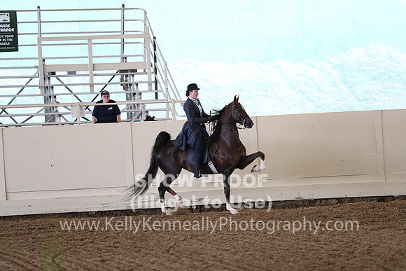 CA_Springfest19_FriAM_9381