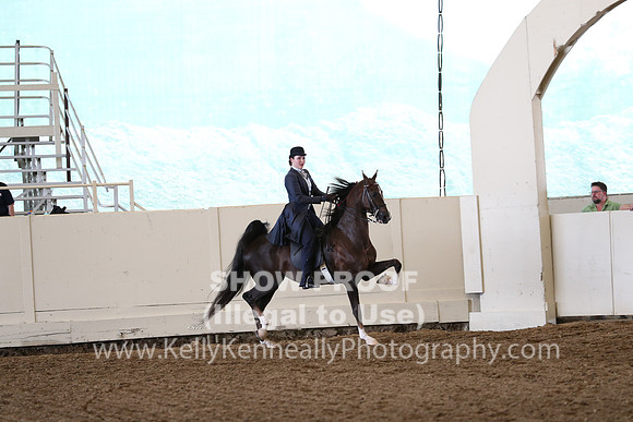 CA_Springfest19_FriAM_9382