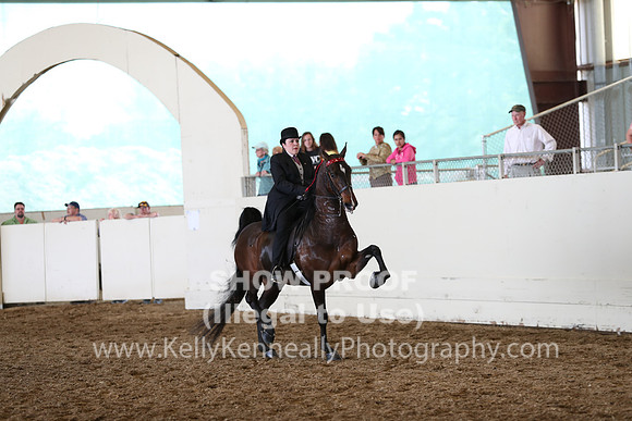 CA_Springfest19_FriAM_9393