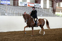 CA_Springfest19_FriAM_9462