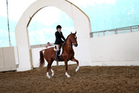 CA_Springfest19_FriAM_9463