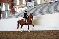 CA_Springfest19_FriAM_9465